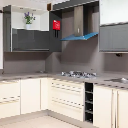 Tabaiba * سانتا كروز دي تينيريف