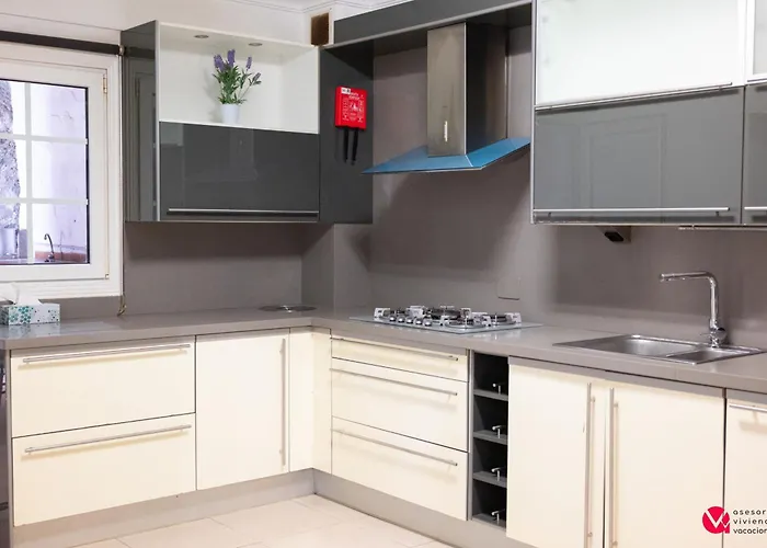 Tabaiba * Santa Cruz de Tenerife